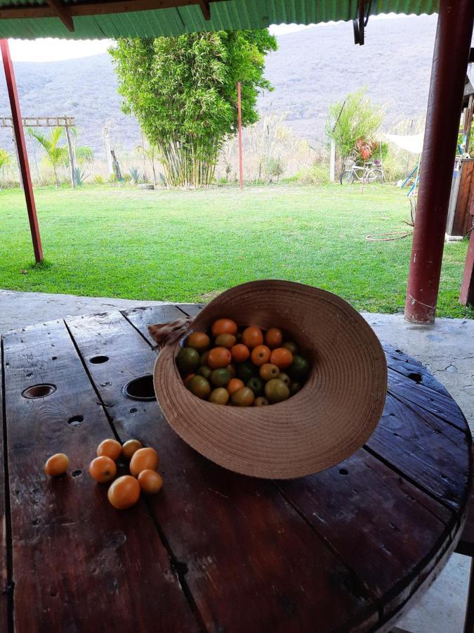 La Cabana De Blanca ฆาลปาน ภายนอก รูปภาพ