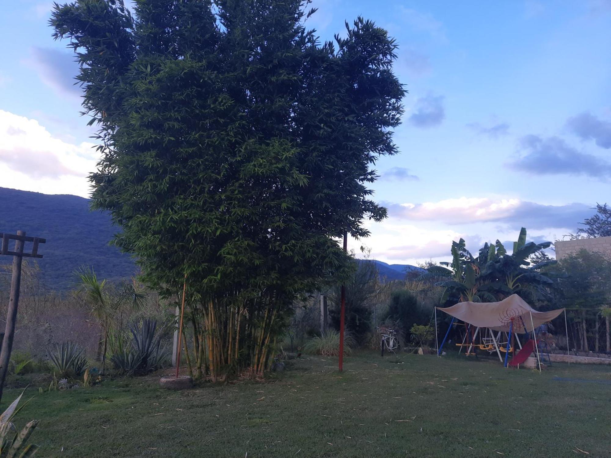 La Cabana De Blanca ฆาลปาน ห้อง รูปภาพ
